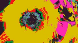 image: image from ztest2