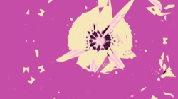 image: image from ztest2