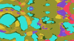 image: image from ztest2