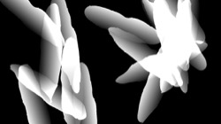 image: image from ztest3