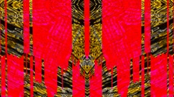 image: image from march 06