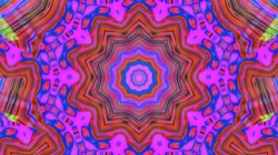 image: image from march 06