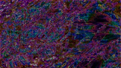 image: image from msg 2