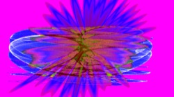 image: image from msg 3