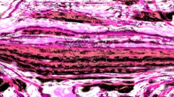 image: image from msg 3