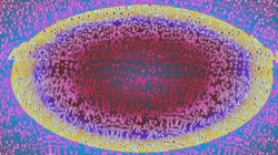 image: image from msg 3