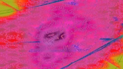 image: image from msg 5