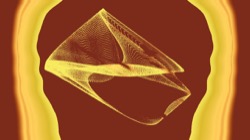 image: image from msg 5