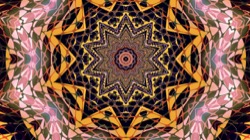 image: image from msg 5