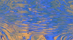 image: image from msg 6