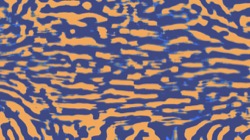 image: image from msg 6