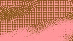 image: image from msg 6