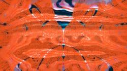 image: image from msg 7