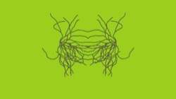 image: image from msg 8