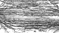 image: image from z test 2