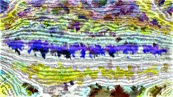 adventure set 2 :: fuzzy