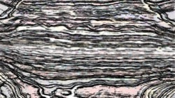 adventure set 3 :: abstraction4