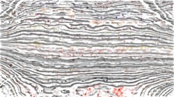 adventure set 3 :: pastelwliteoutline