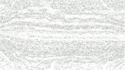 image: image from mezzotint experiments