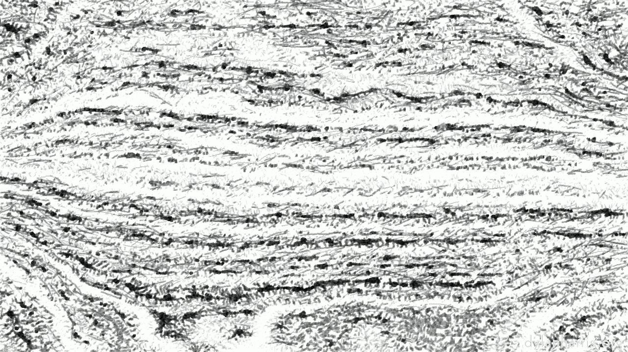 image: pencil sketch :: pencilsketch2