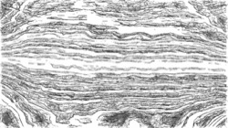 image: image from bw sketch ideas 2