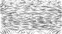 image: image from bw sketch ideas 2