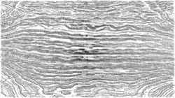 image: image from bw sketch ideas 2