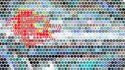 image: image from circle renditions