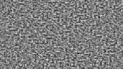 image: image from movie procs