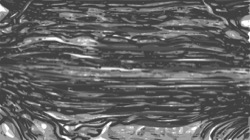 image: image from vector