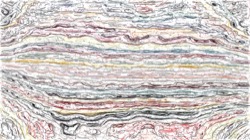 image: image from vector