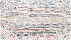 image: image from vector