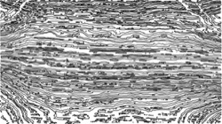 image: image from bw sketch examples