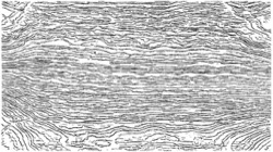 image: image from colbert sketch examples