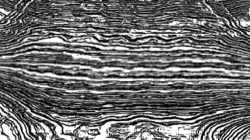 image: user thumbnail