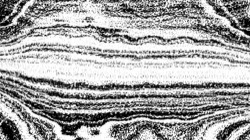 image: image from litho ideas