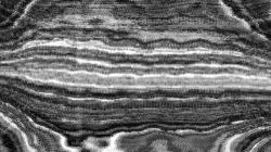 image: image from more styles