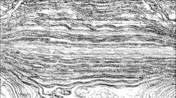 image: image from src processing