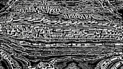 Image: image from woodblock