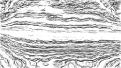 autopaint1 :: bwedger2