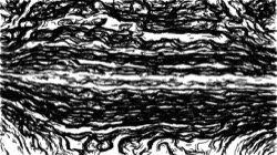 autopaint1 :: bwedger3