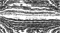 autopaint1 :: grayedger1