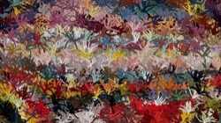 image: 2.0 collection thumbnail