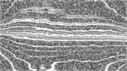 image: 2.0 collection thumbnail