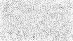 image: image from bw hatch