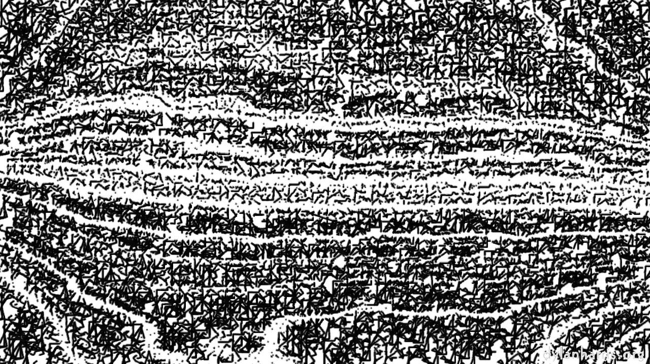 image: bw hatch 1 :: bwtreeringhatcher1