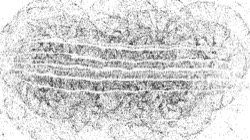 image: 2.0 collection thumbnail