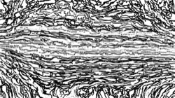 image: image from bw hatch 1