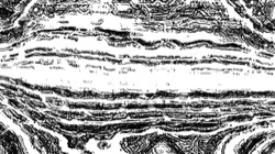 image: image from bw hatch 1