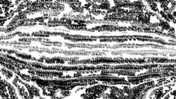 image: image from bw hatch 1